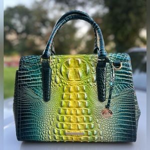❌SOLD❌NWT - Brahmin Small Finley Zesty Green Ombre
